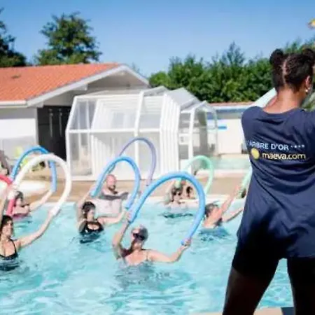 Κάμπινγκ 4 Etoiles - Piscine - Eebiff Parentis-en-Born